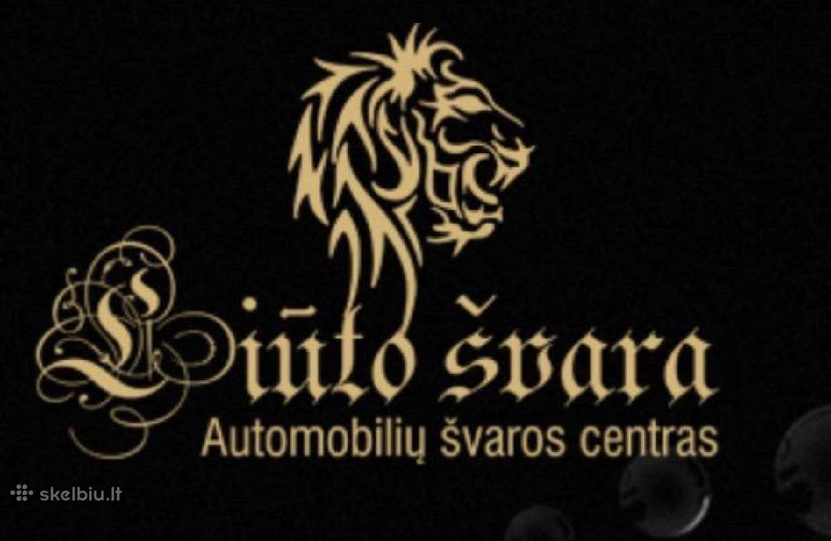 Automobilių plovėjas Vilniuje