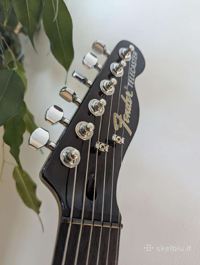 Fender Jim Adkins Ja-90 Telecaster® Thinline - nuotraukos Nr. 5