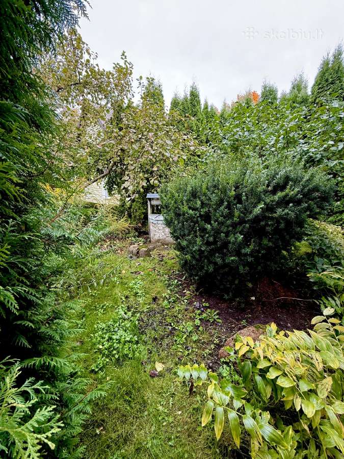 Parduodamas namas strateginėje vietoje Skuodo cent - nuotraukos Nr. 31
