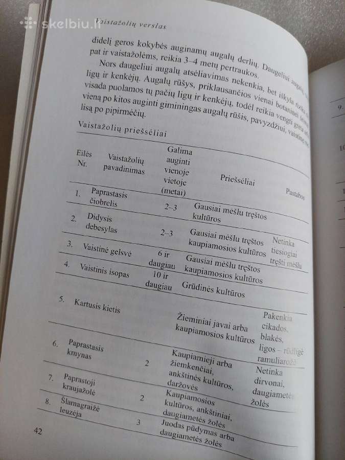 Vaistažolių verslas - nuotraukos Nr. 5