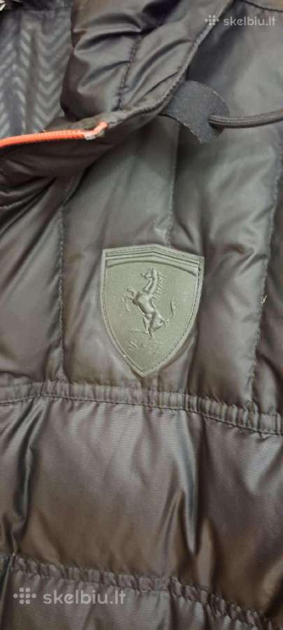 Puma