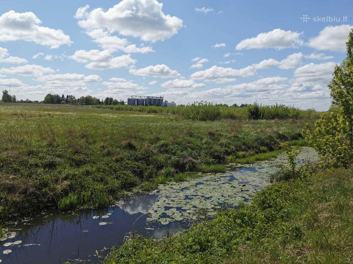 Parduodamas žemės sklypas šalia Šakių m. centro - nuotraukos Nr. 4