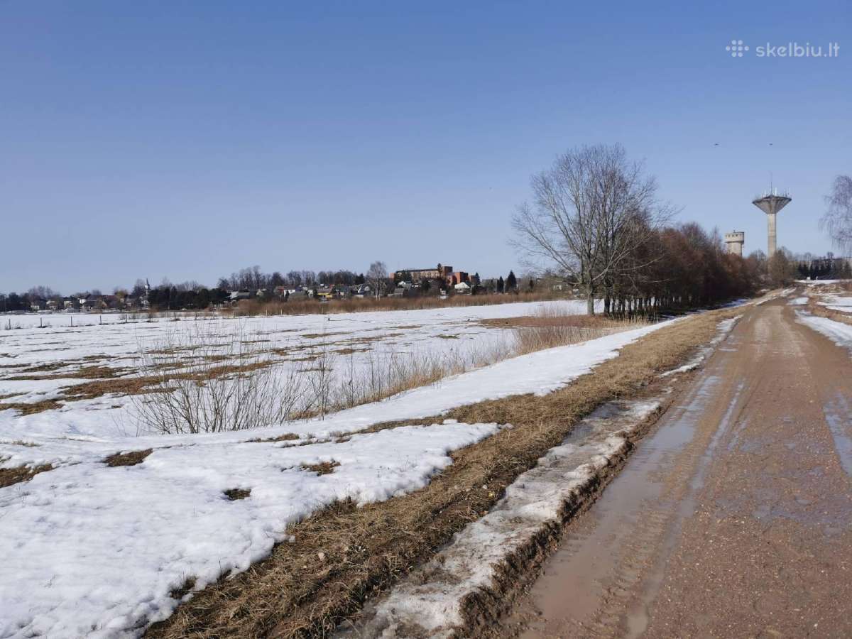 Parduodamas žemės sklypas šalia Šakių m. centro - nuotraukos Nr. 7