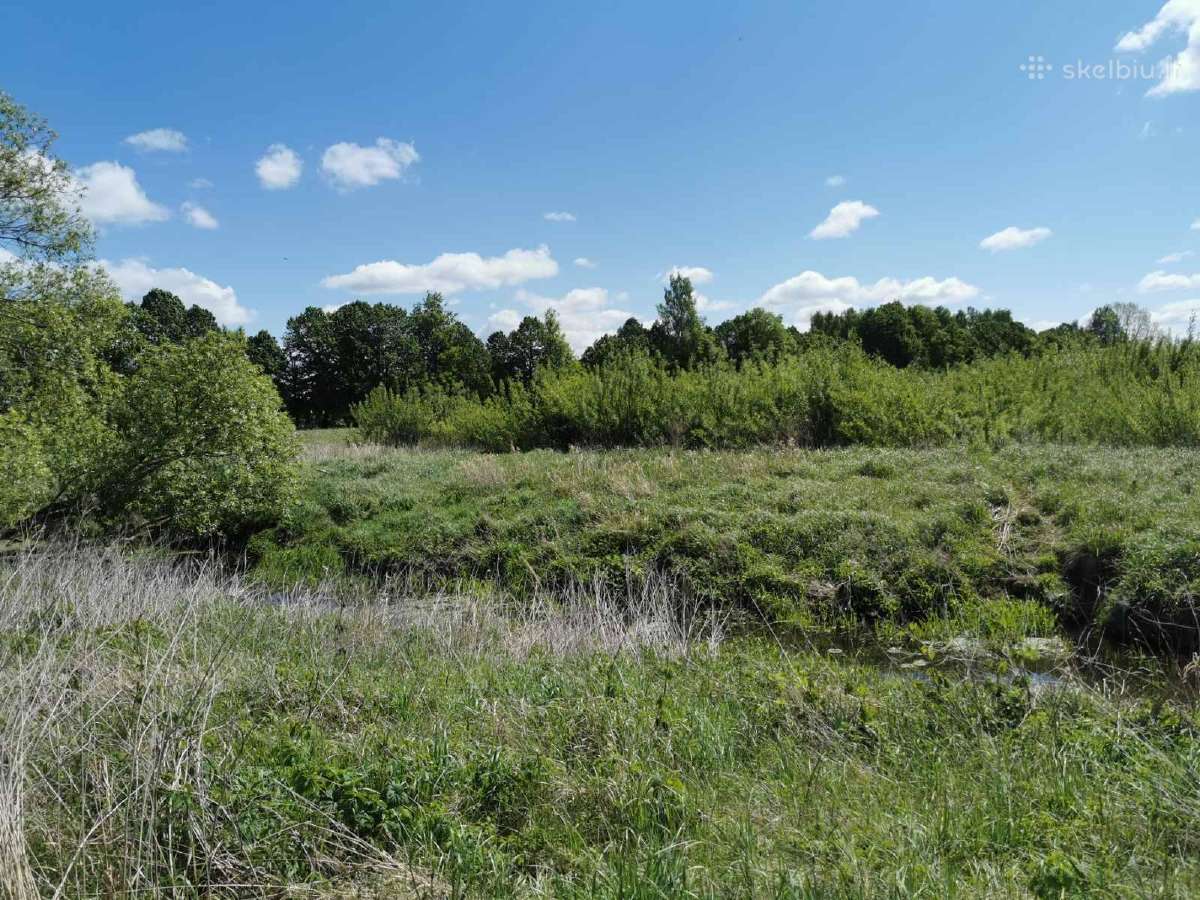 Parduodamas žemės sklypas šalia Šakių m. centro - nuotraukos Nr. 8