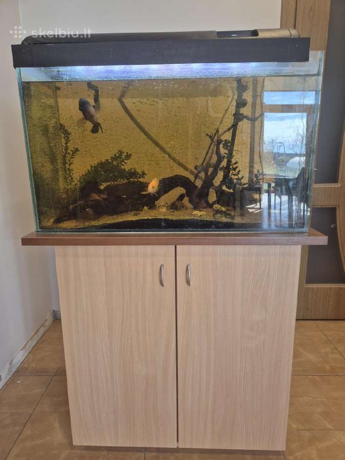 Akvariumas 150l įrengtas su spintele ir įranga