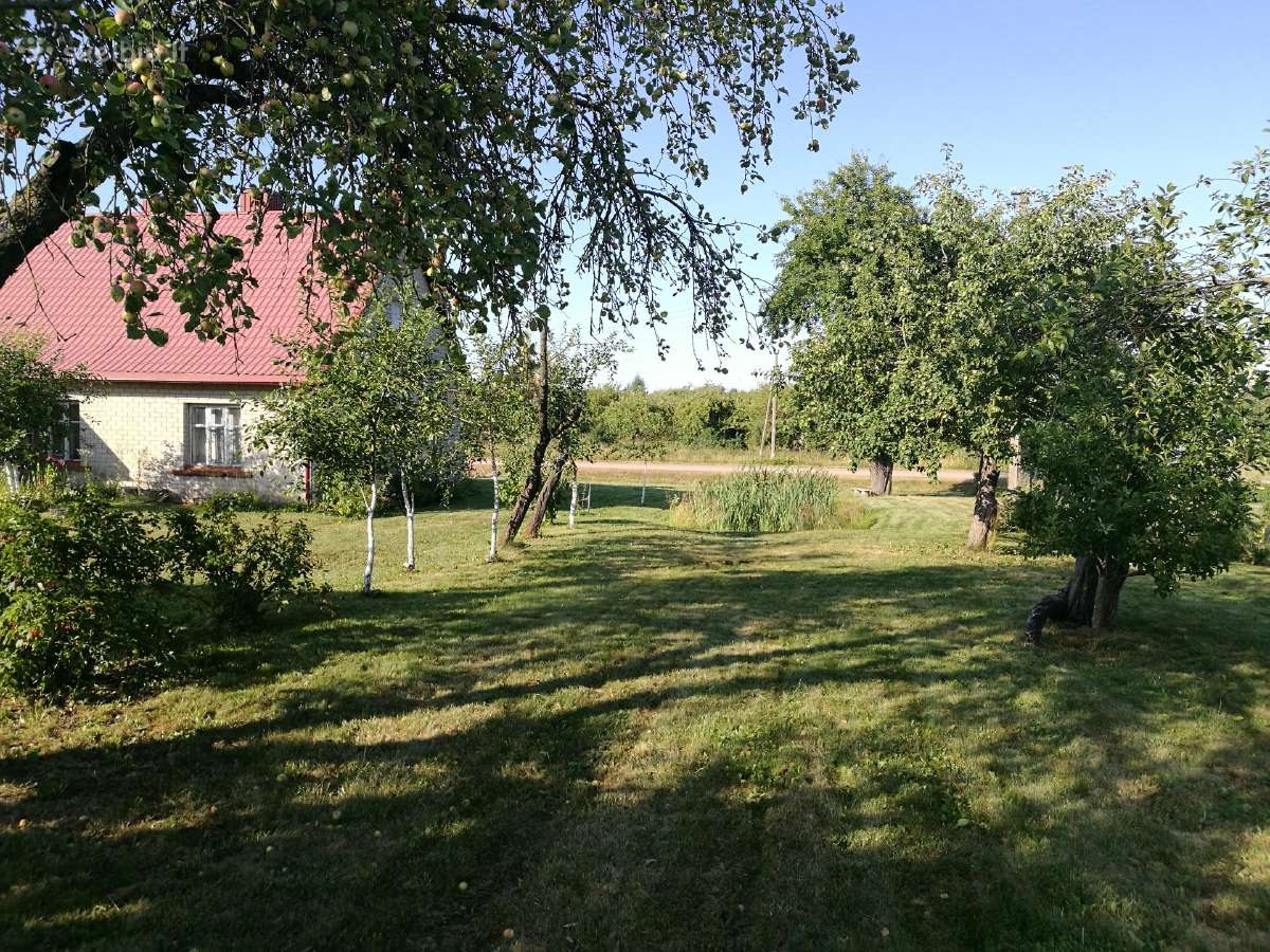 63 Arų Sklypas su gyvenamuoju namu Vandžiogaloje - nuotraukos Nr. 11
