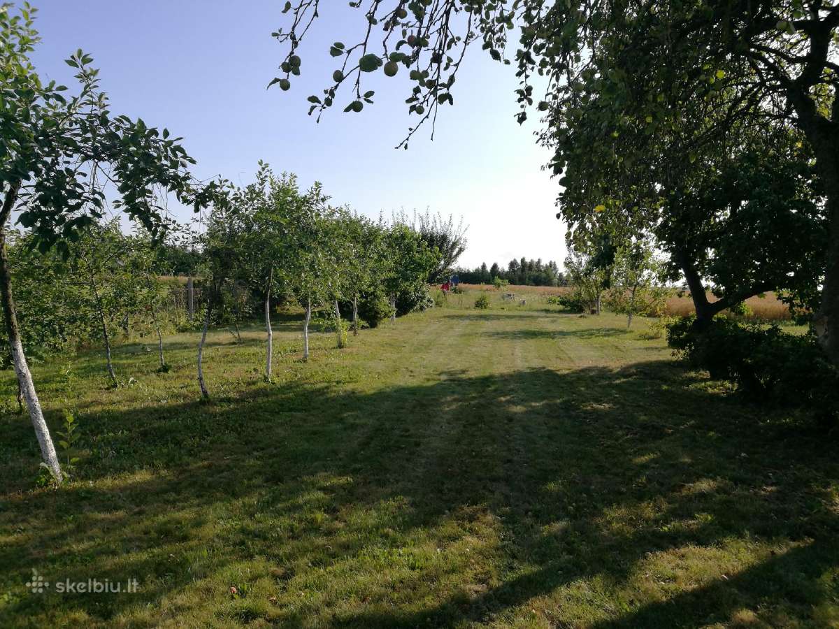 63 Arų Sklypas su gyvenamuoju namu Vandžiogaloje - nuotraukos Nr. 12