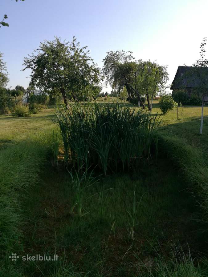 63 Arų Sklypas su gyvenamuoju namu Vandžiogaloje - nuotraukos Nr. 18