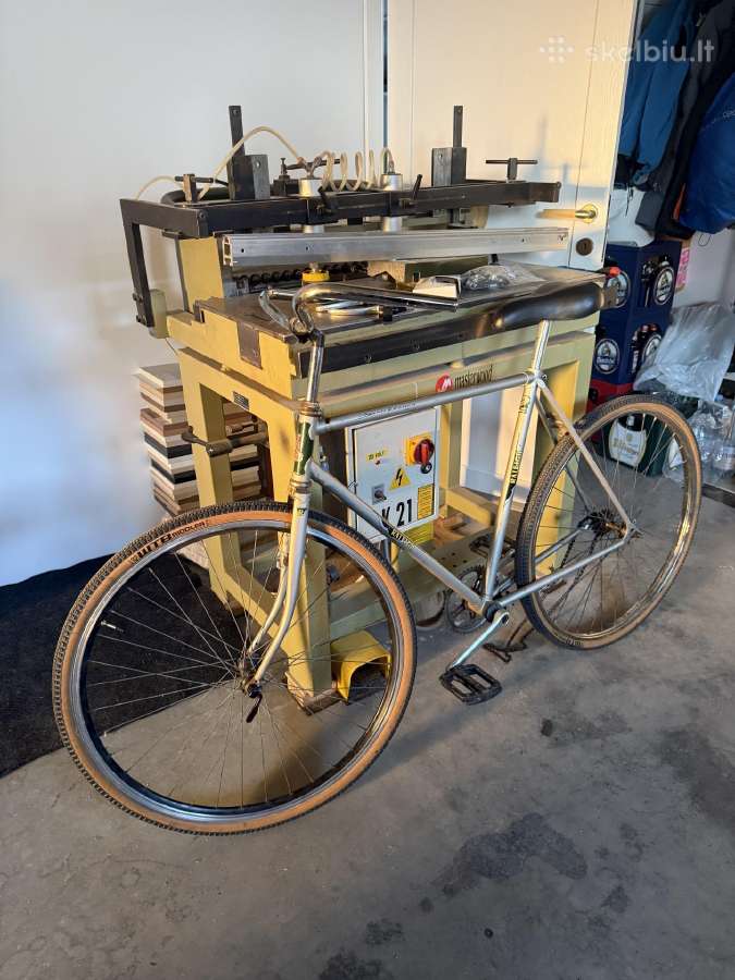 Raleigh single speed/fixie/fixed