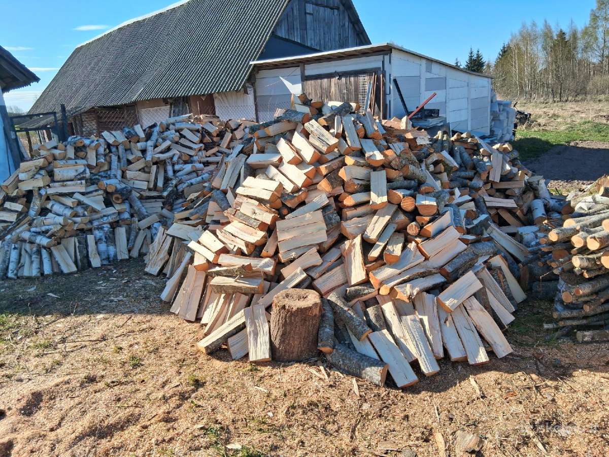 Malkos beržas, drebulė, alksnis