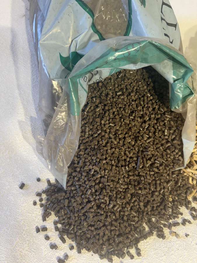 Kiektas Kuras + 1000 L Plautos Talpos - nuotraukos Nr. 9