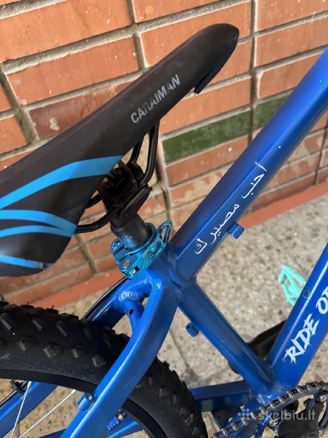 Wheelie bike - nuotraukos Nr. 3