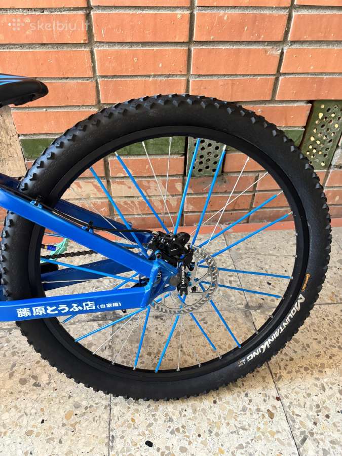 Wheelie bike - nuotraukos Nr. 4