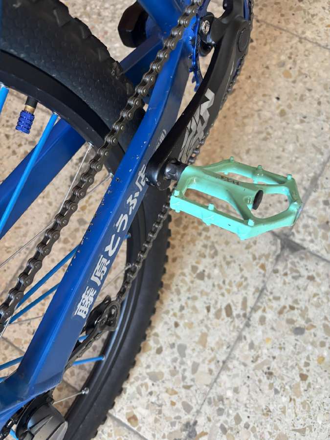 Wheelie bike - nuotraukos Nr. 9