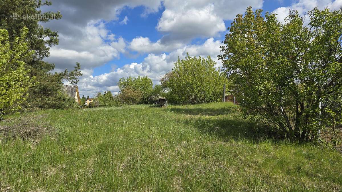Parduodu namą su 29 a.sklypų - nuotraukos Nr. 11