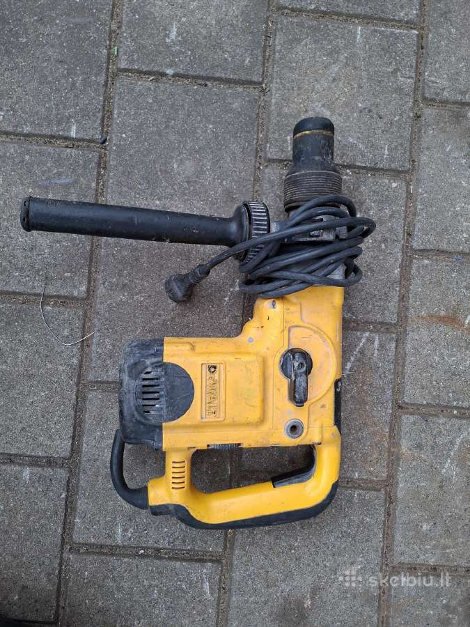 Dewalt perforatorius.raimondi