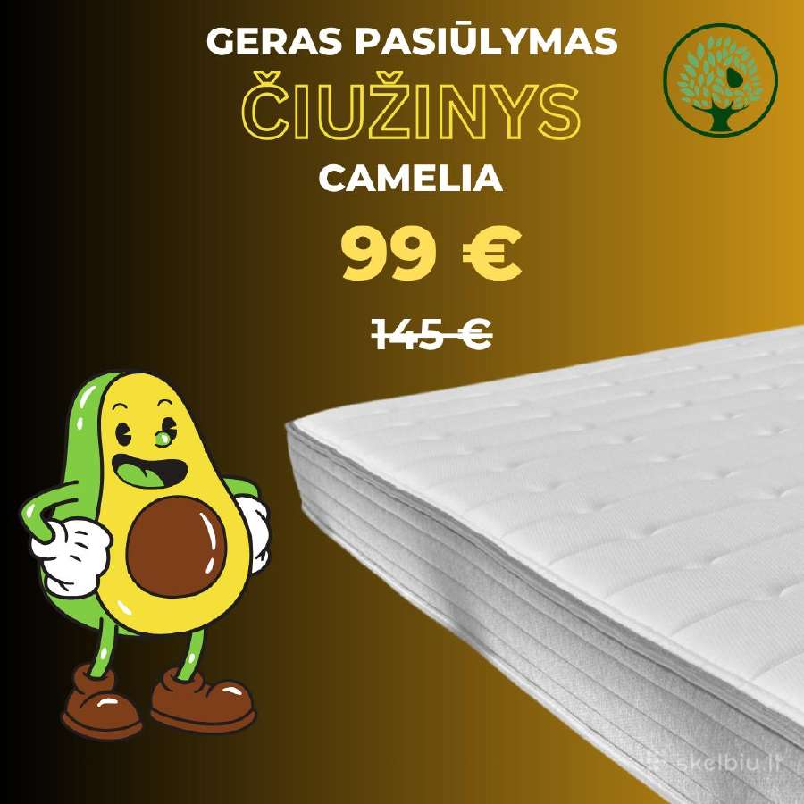 Čiužinys 20 cm aukščio