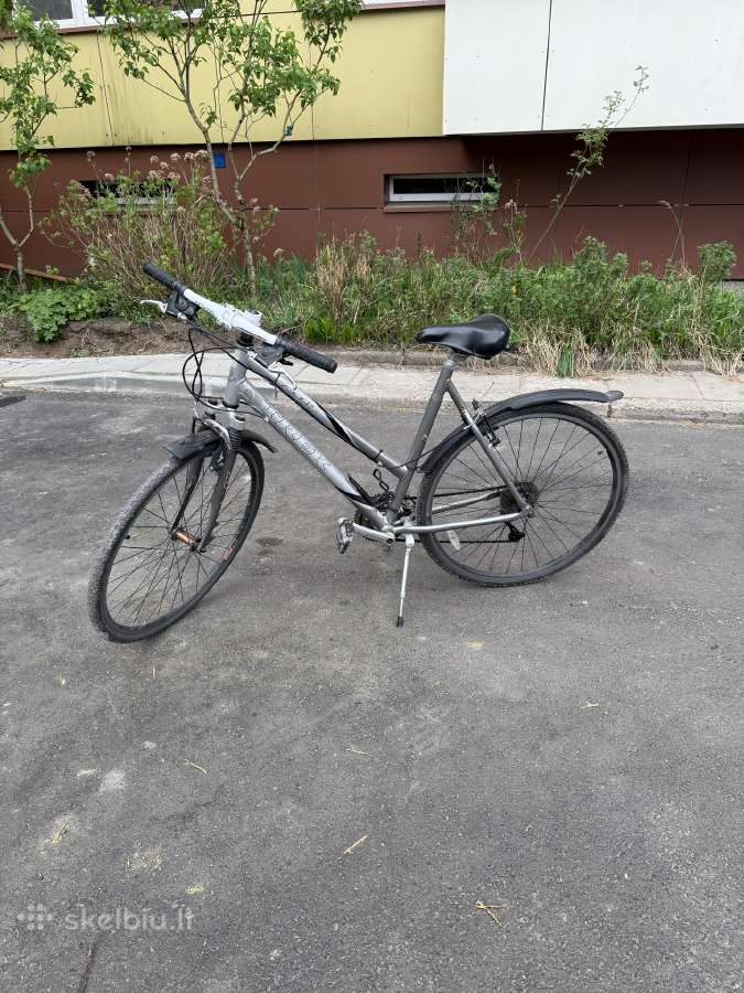 Trek dviratis