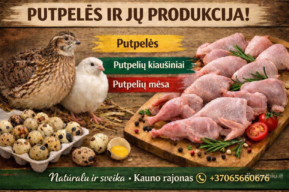 Putpeles,kiausiniai,skerdiena. - nuotraukos Nr. 2