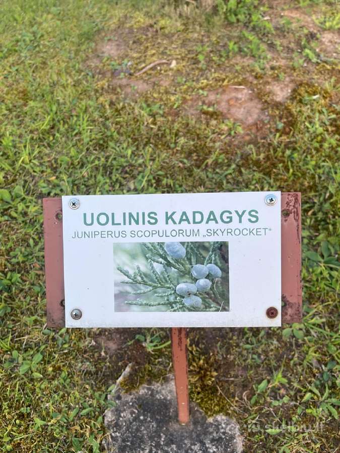 Parduodu 2 kambarių butą Kupiškyje Stoties gatvėje - nuotraukos Nr. 11
