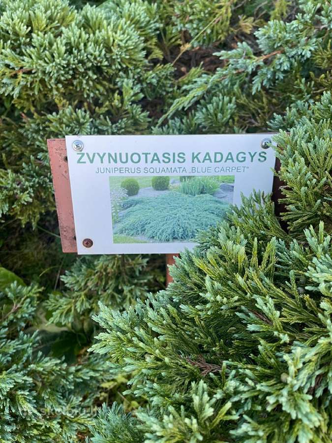Parduodu 2 kambarių butą Kupiškyje Stoties gatvėje - nuotraukos Nr. 14