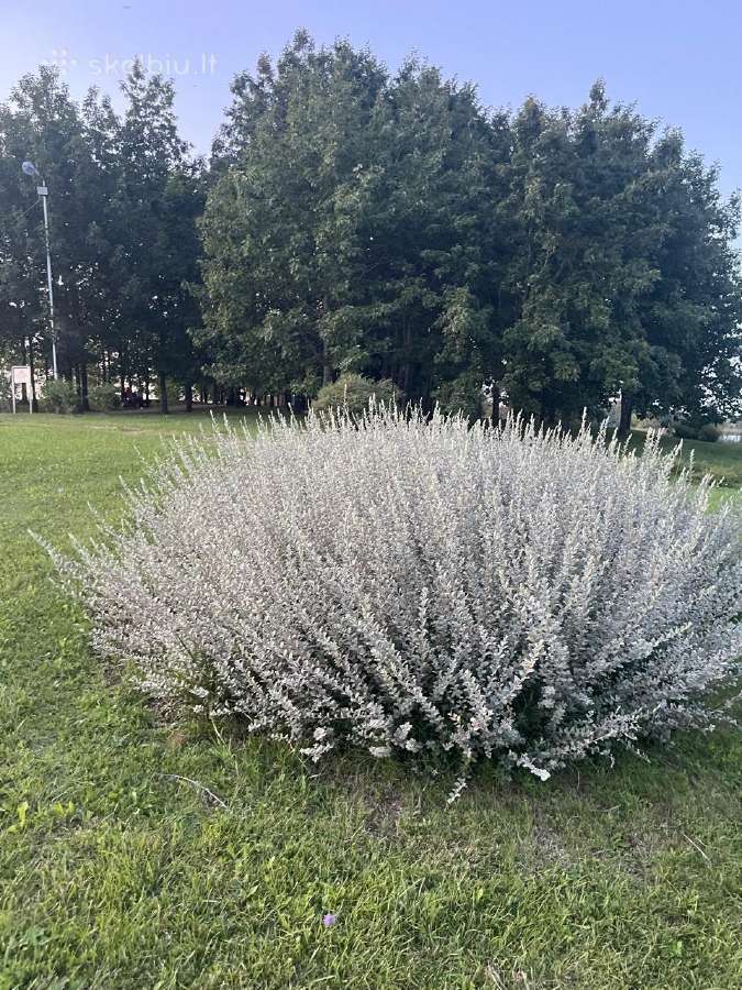 Parduodu 2 kambarių butą Kupiškyje Stoties gatvėje - nuotraukos Nr. 15