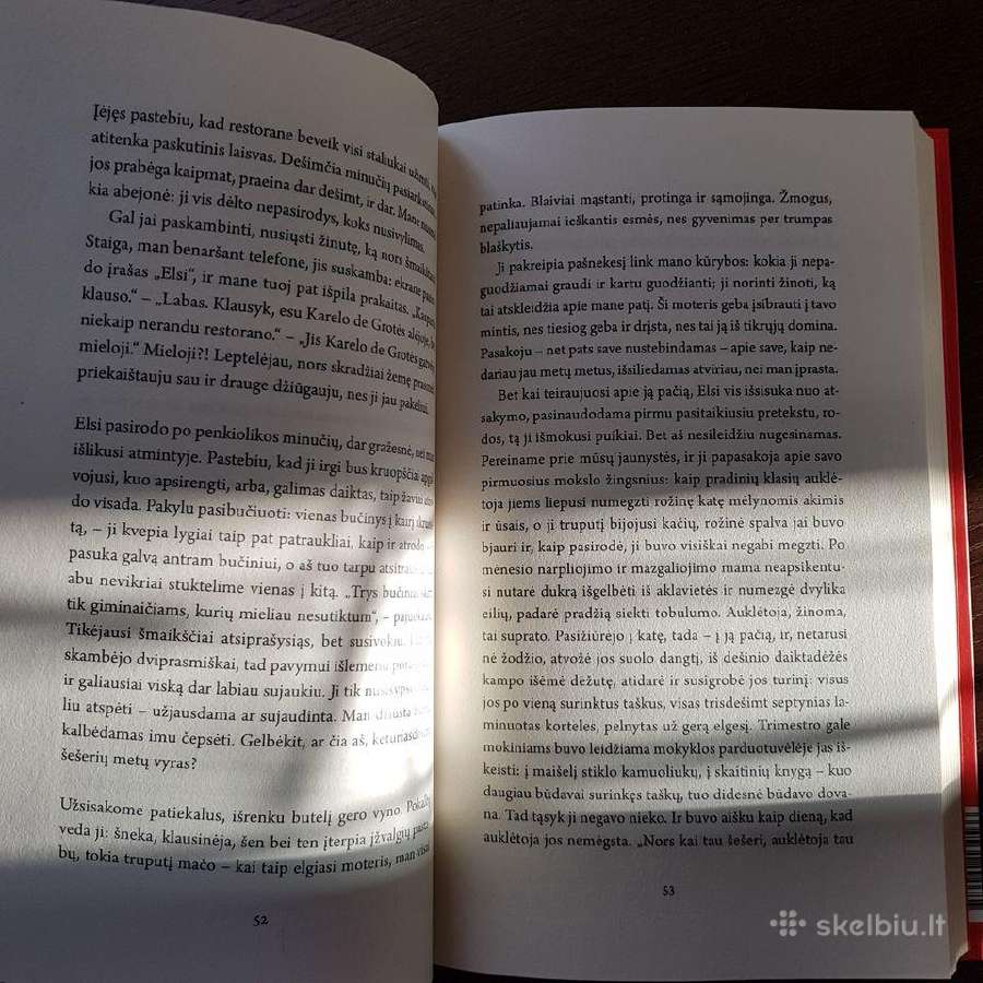 Aukščiau nei devintam danguj. Alma Littera. Nauja! - nuotraukos Nr. 6
