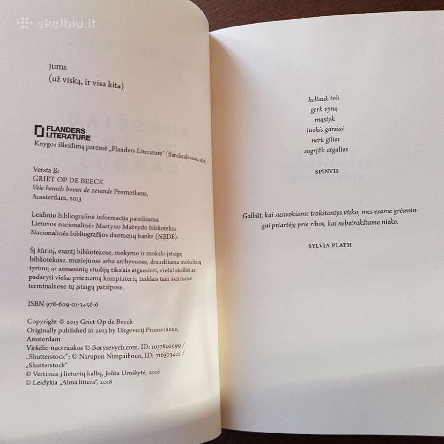 Aukščiau nei devintam danguj. Alma Littera. Nauja! - nuotraukos Nr. 5