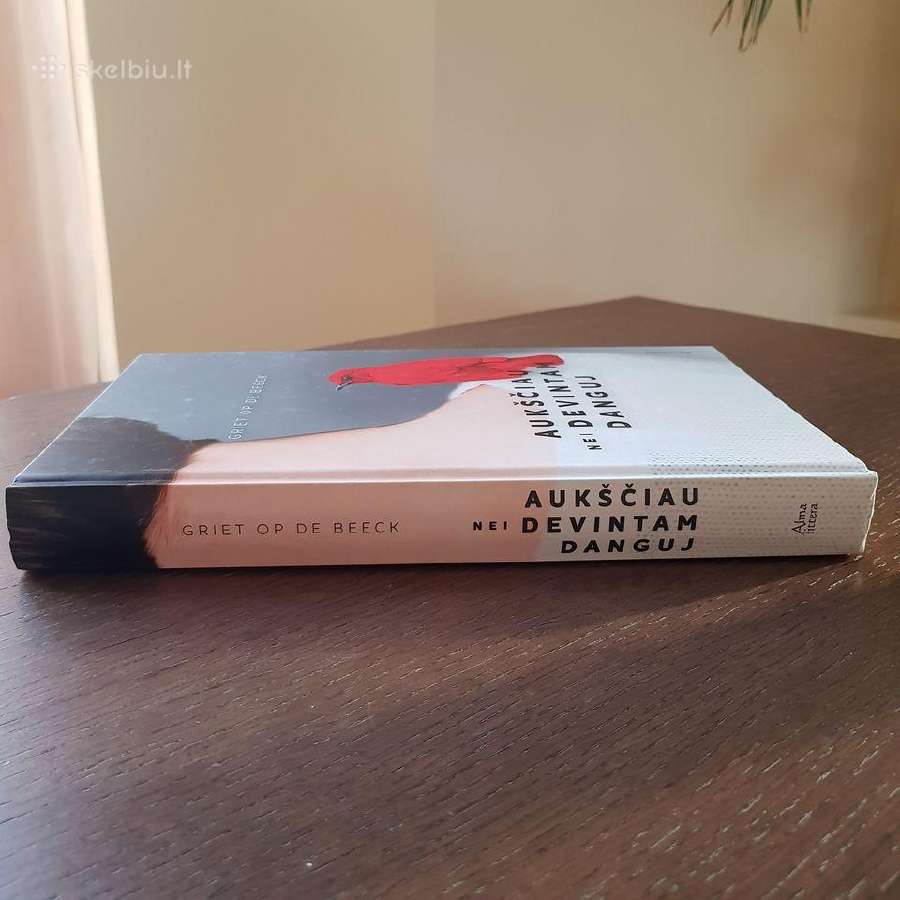 Aukščiau nei devintam danguj. Alma Littera. Nauja! - nuotraukos Nr. 2
