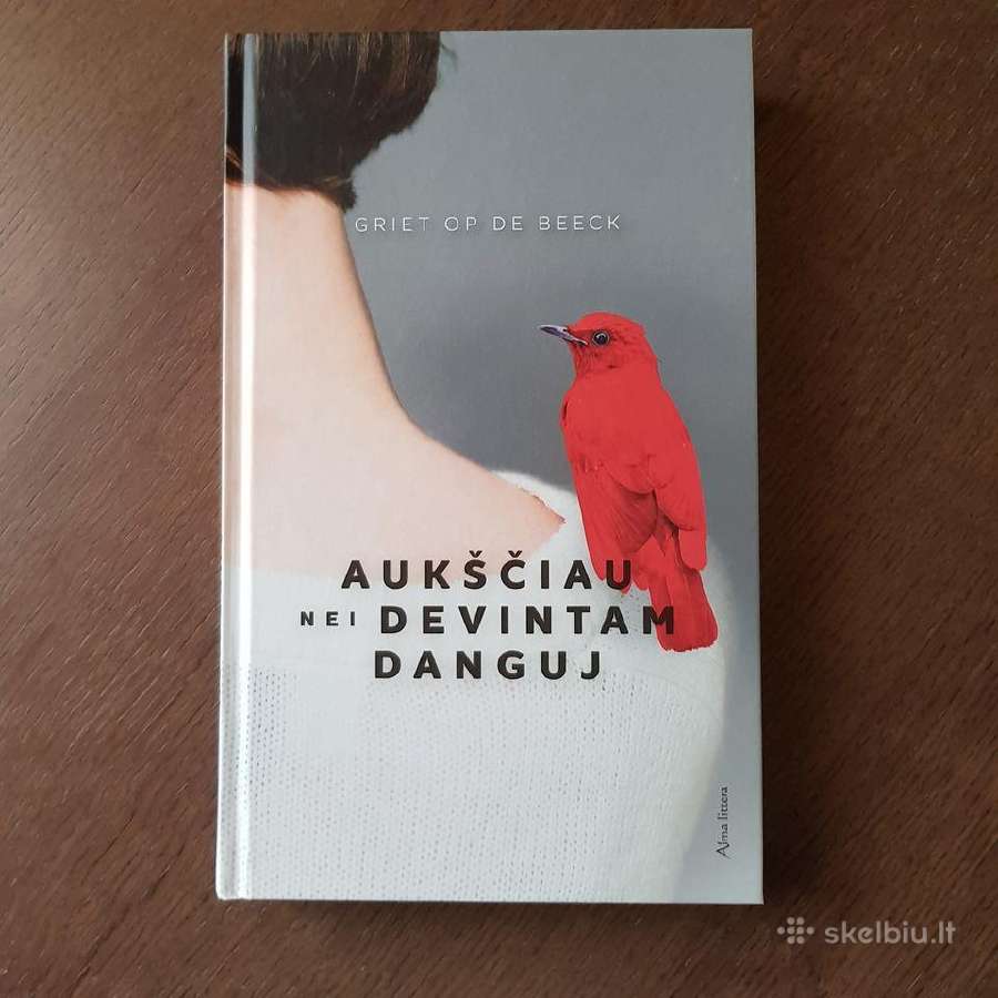Aukščiau nei devintam danguj. Alma Littera. Nauja!