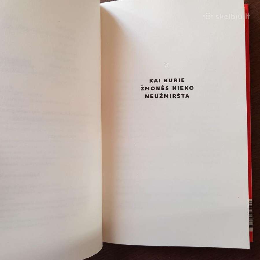 Aukščiau nei devintam danguj. Alma Littera. Nauja! - nuotraukos Nr. 7
