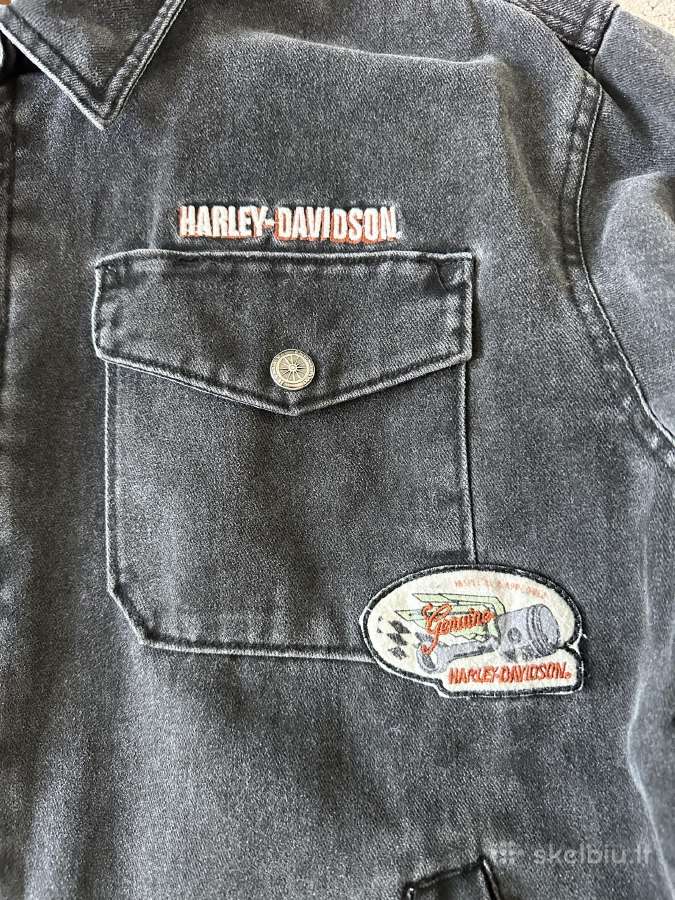 Harley-davidson striuke/svarkelis - nuotraukos Nr. 3