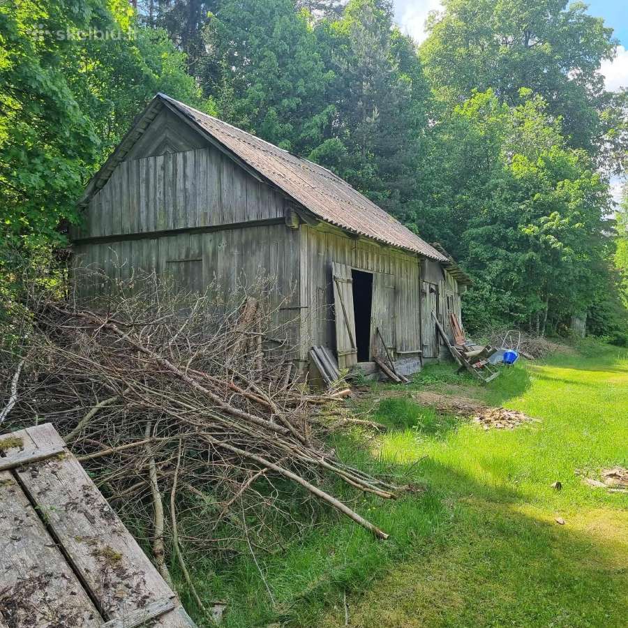 Norintiems įsirengti sodą greta pušyno už Ežerėlio - nuotraukos Nr. 3