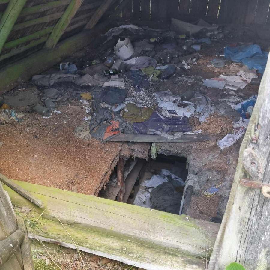Norintiems įsirengti sodą greta pušyno už Ežerėlio - nuotraukos Nr. 9