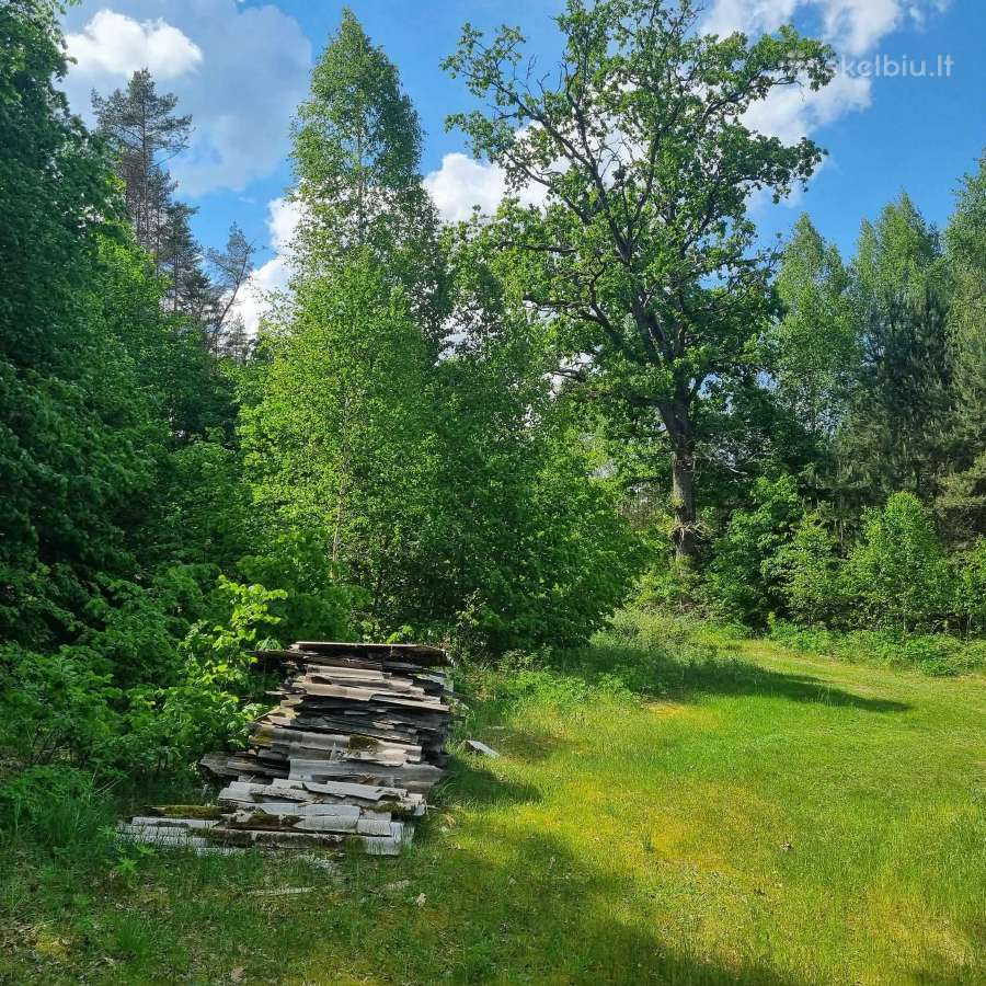 Norintiems įsirengti sodą greta pušyno už Ežerėlio - nuotraukos Nr. 17