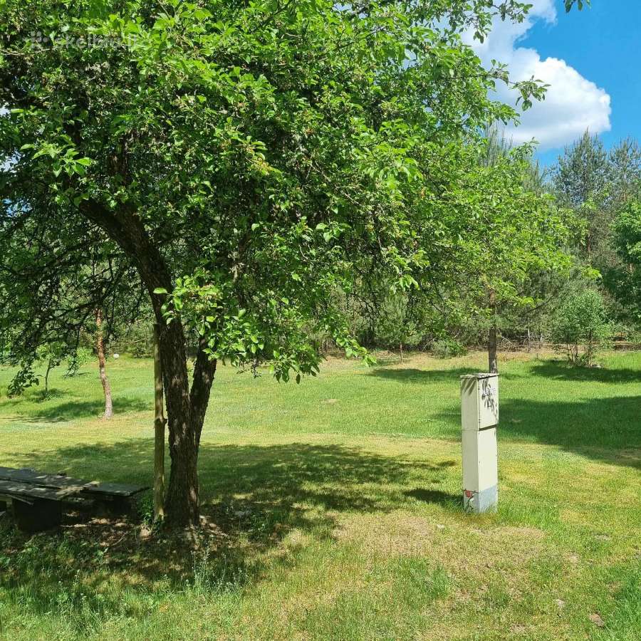 Norintiems įsirengti sodą greta pušyno už Ežerėlio - nuotraukos Nr. 18