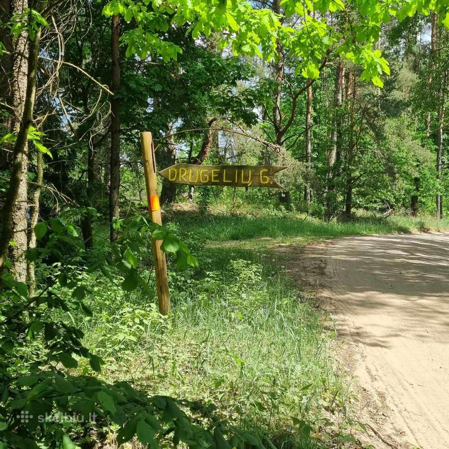 Norintiems įsirengti sodą greta pušyno už Ežerėlio - nuotraukos Nr. 20