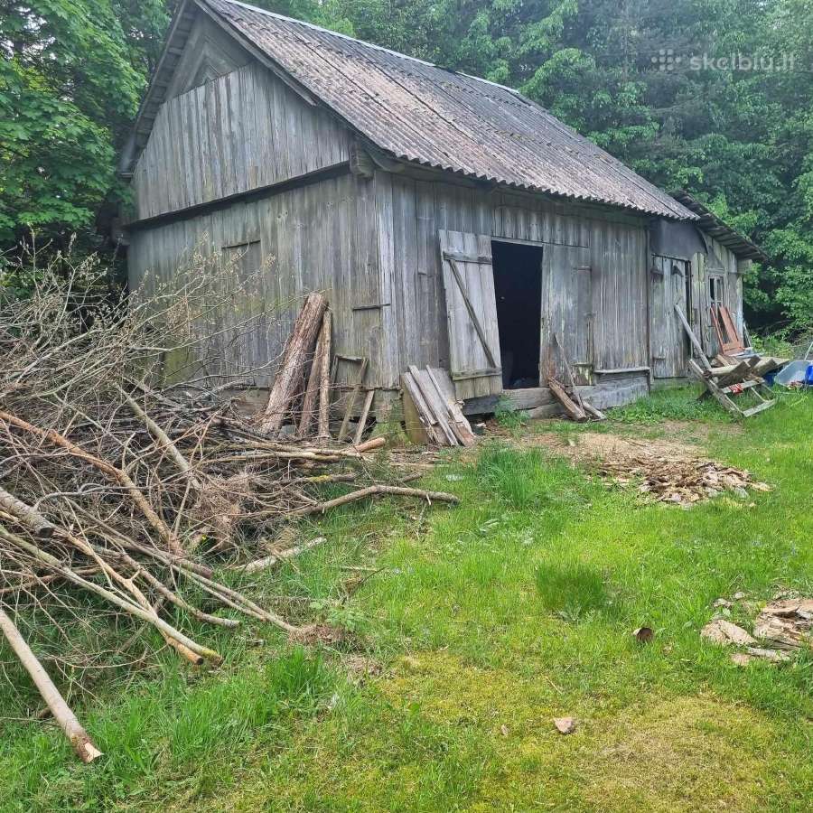 Norintiems įsirengti sodą greta pušyno už Ežerėlio - nuotraukos Nr. 21