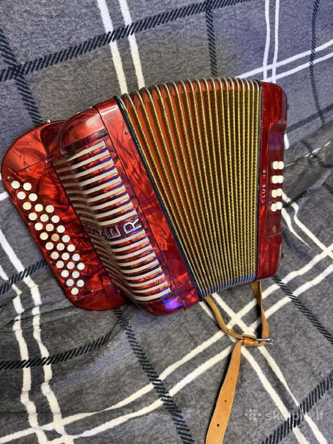 Muzikos instrumentai - nuotraukos Nr. 7