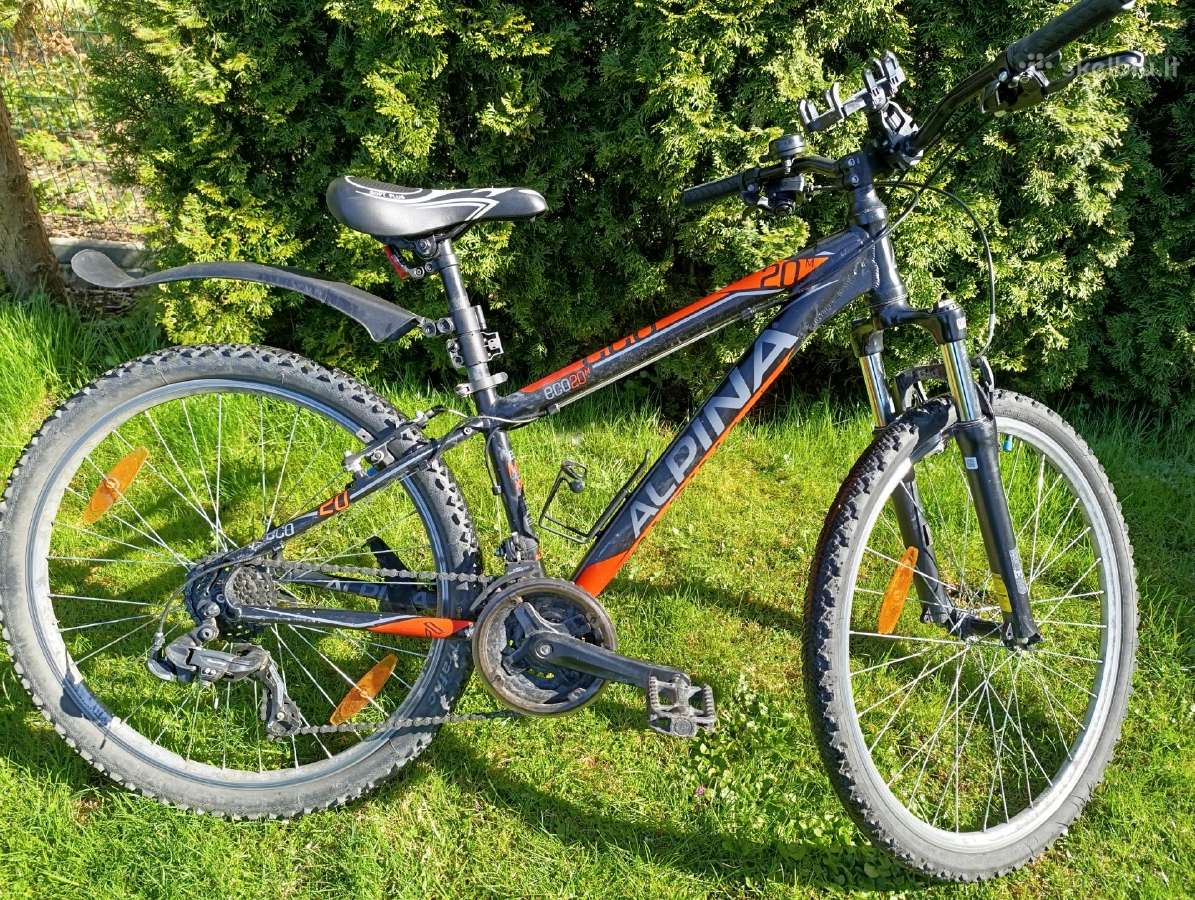 Alpina dviratis 26 - nuotraukos Nr. 5