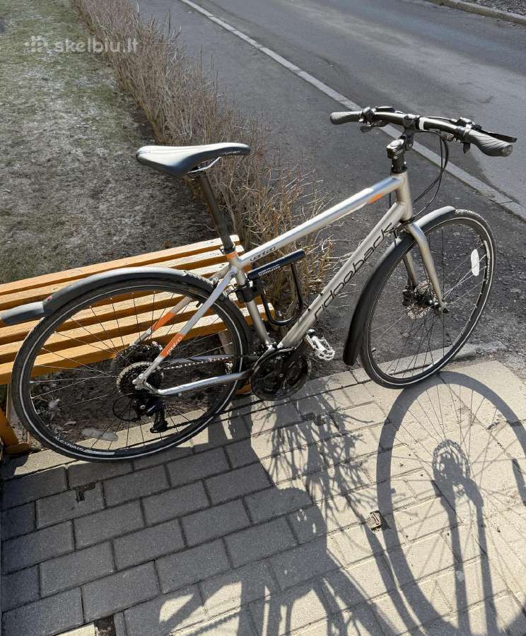 Dviratis Ridgeback Vanteo