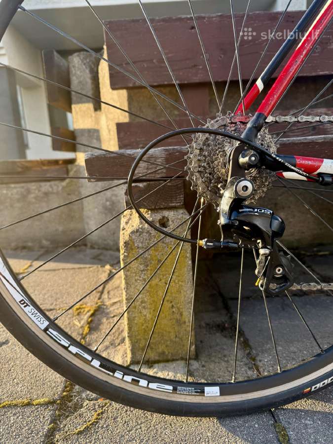 Specialized Allez Comp 54cm 8kg - nuotraukos Nr. 4