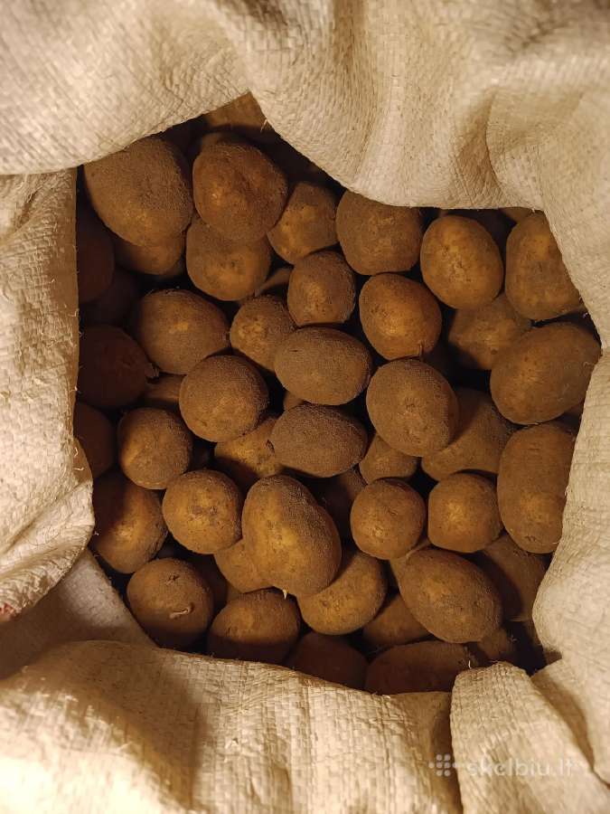 Parduodu sėklinio dydžio bulves