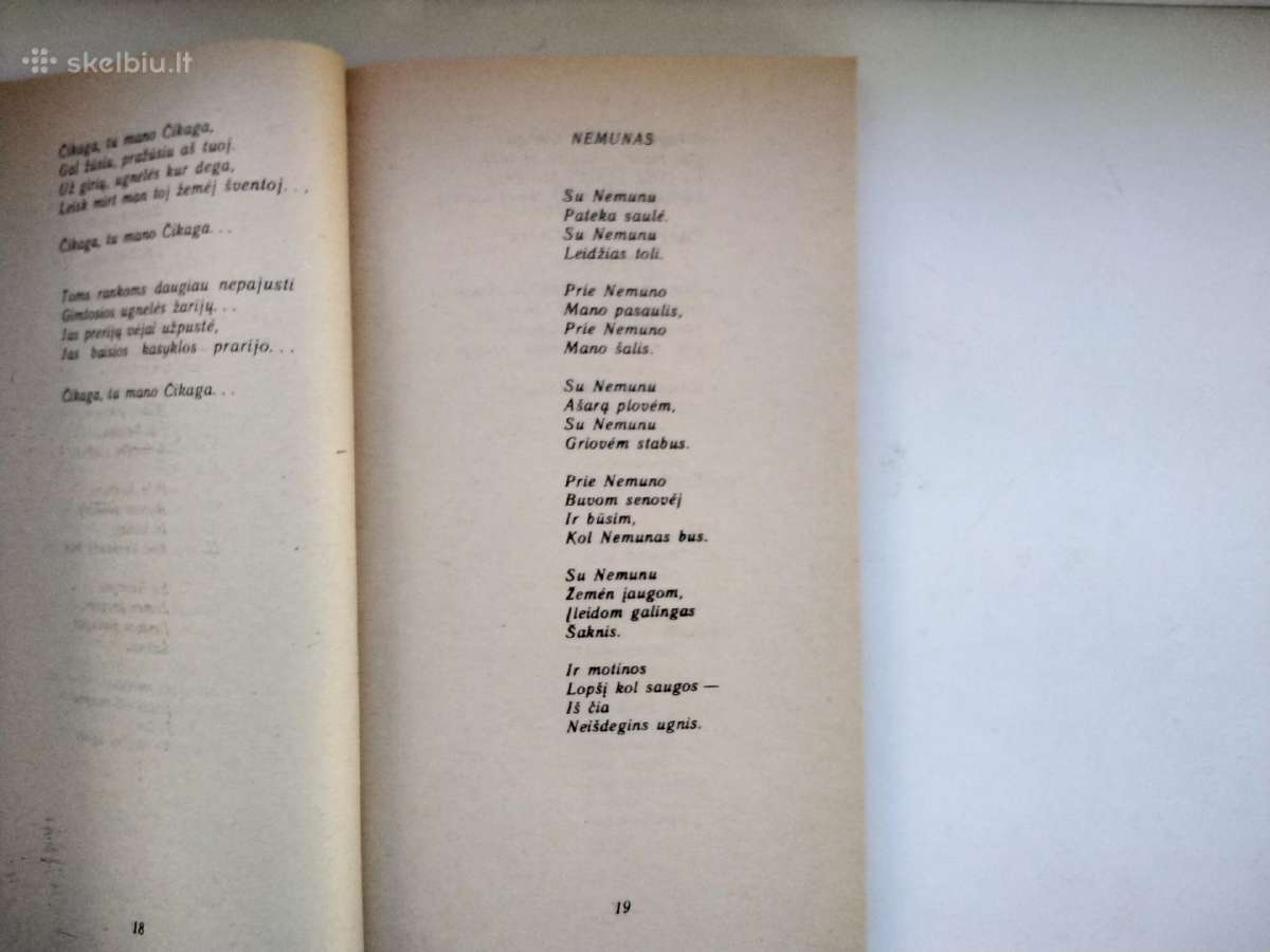 P. Širvys. Beržai baltieji broliai - nuotraukos Nr. 5