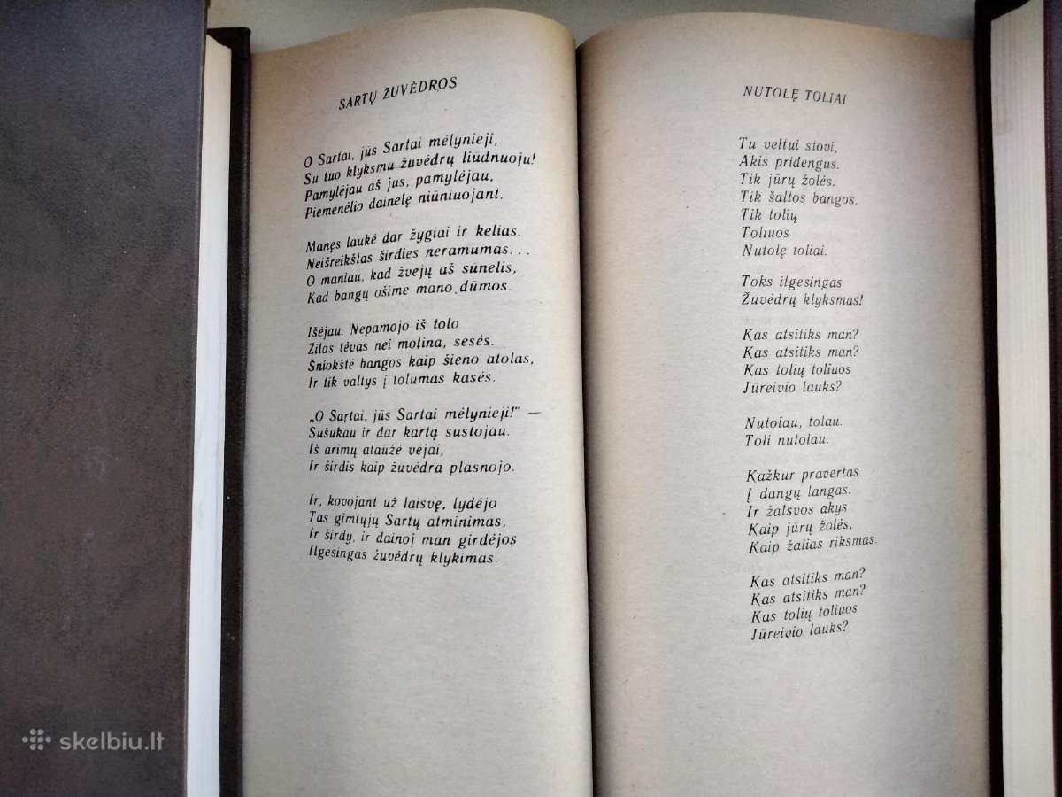 P. Širvys. Beržai baltieji broliai - nuotraukos Nr. 6