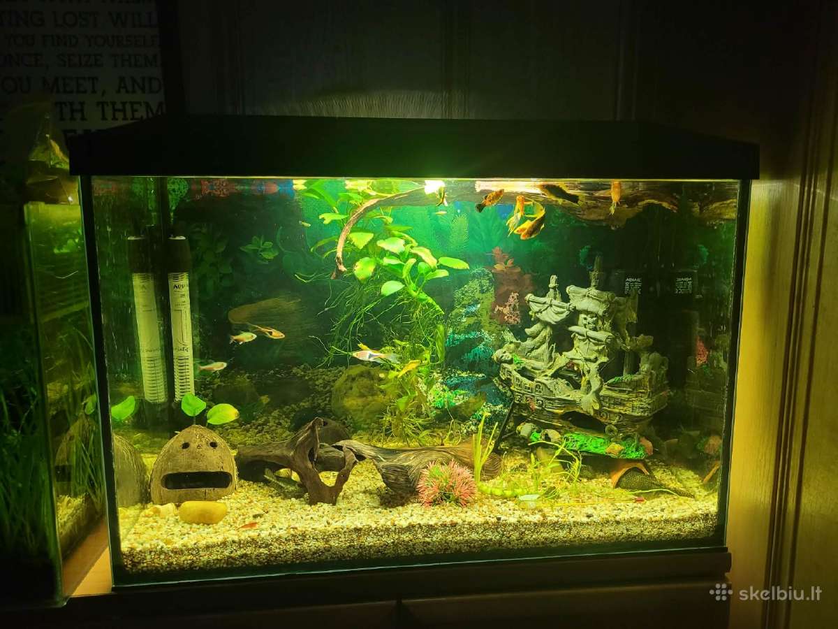 Geros būklės prižiūrėtas 30litrų