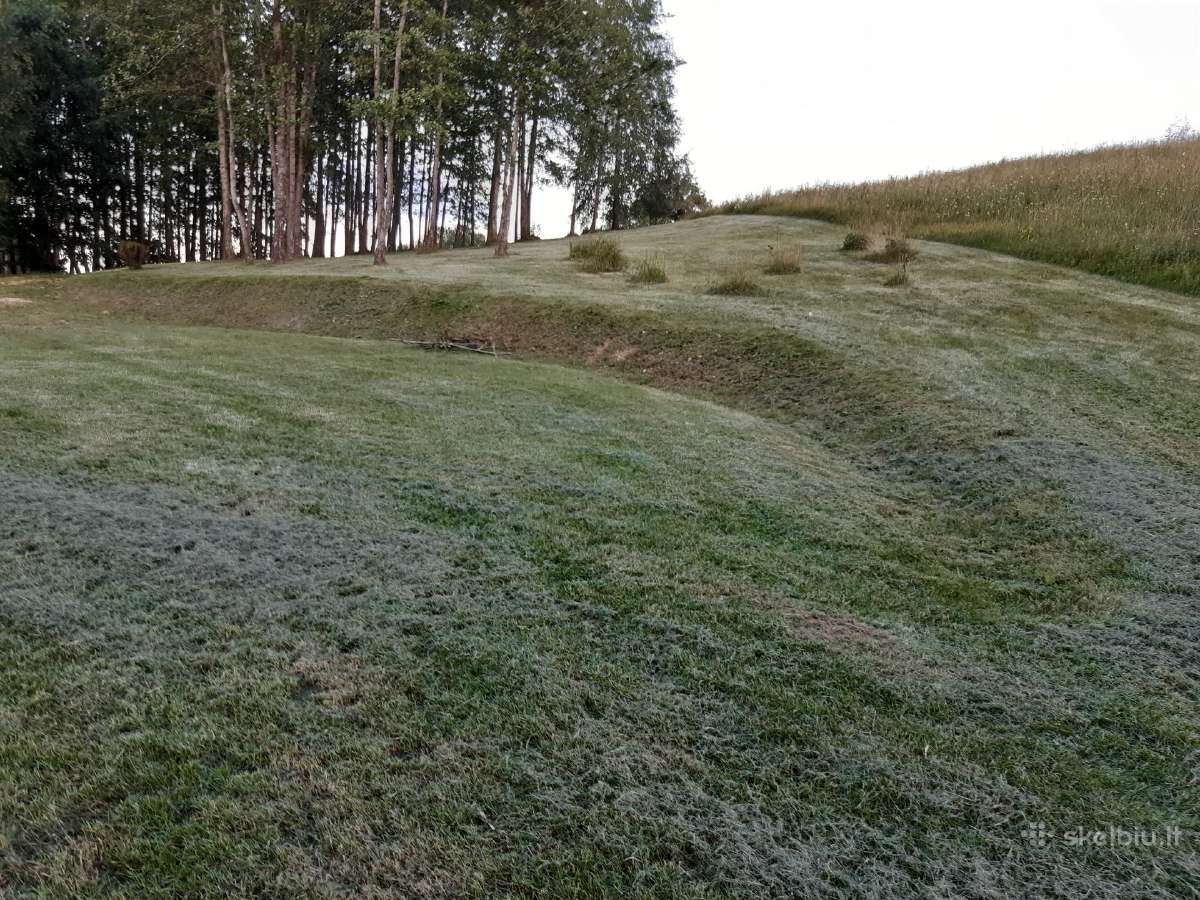 Žoles pjovimas,medžių ir krūmų pjovimas ir išvež. - nuotraukos Nr. 30