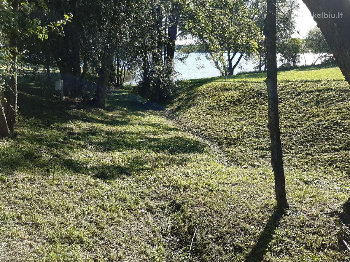 Žoles pjovimas,medžių ir krūmų pjovimas ir išvež. - nuotraukos Nr. 31