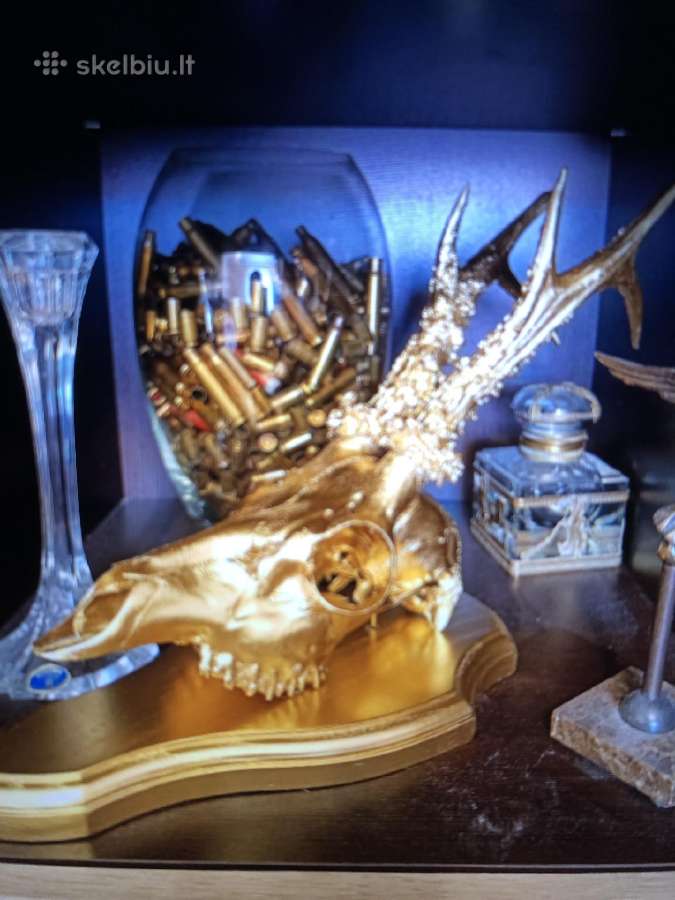 Trofejus