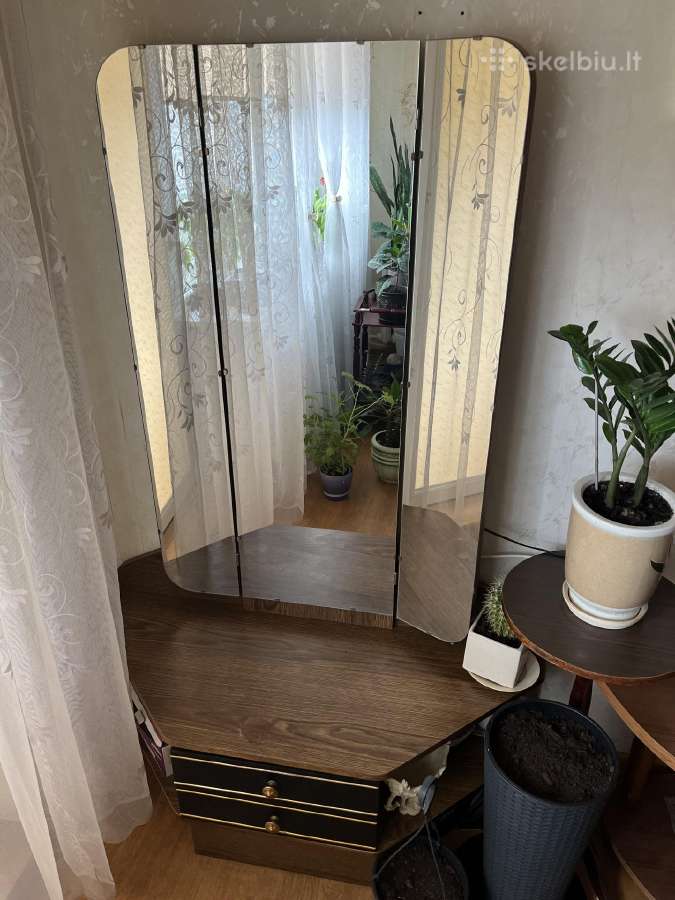 Veidrodis - spintelė